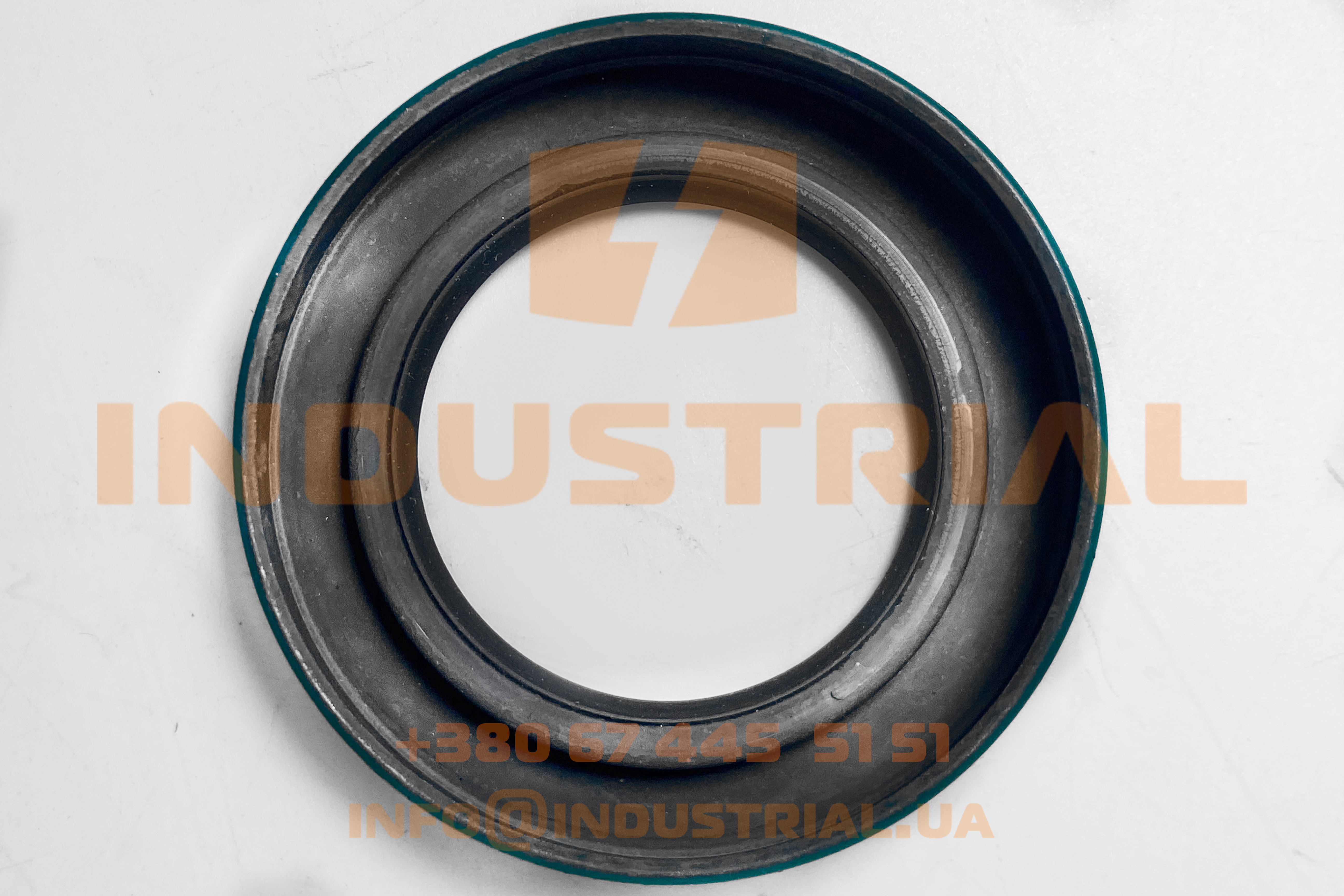 CHG 5231743 CHICAGO RAWHIDE SKF